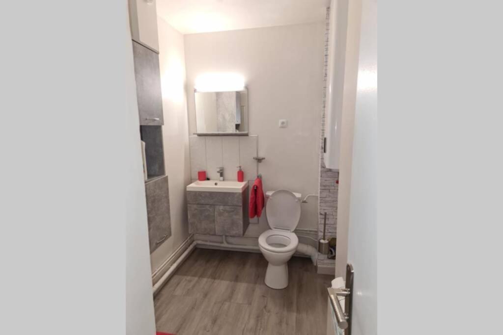 Appartement Charmant Au Pied Des Thermes 艾美丽·莱斯·班恩斯·帕尔 外观 照片